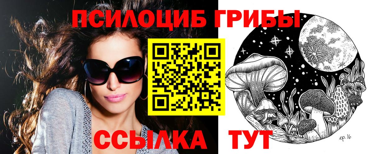 наркошоп  Вход с VPN  Щёлково  Галлюциногенные грибы MAGIC MUSHROOMS 