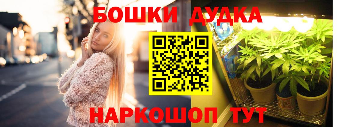 Каннабис OG Kush Щёлково